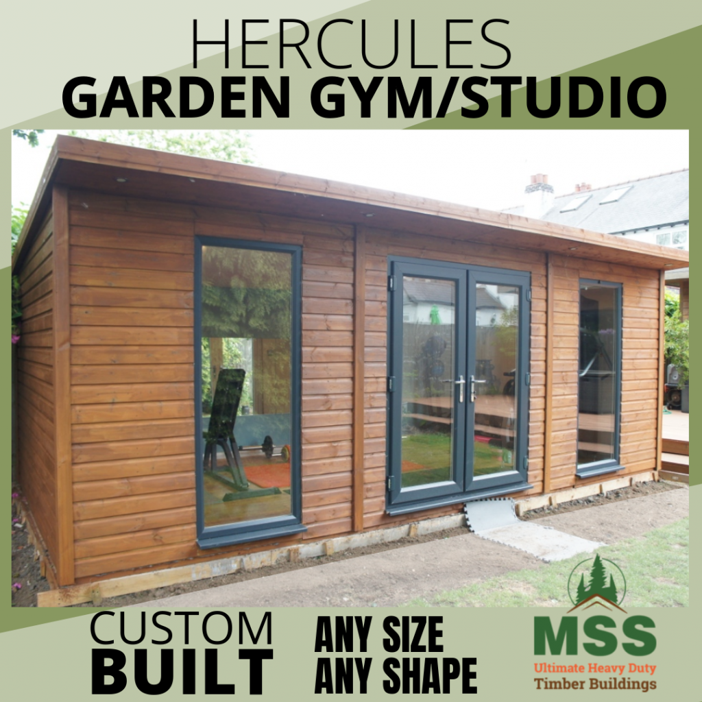 Hercules Garden Gym Studio For Home Workouts To Increase Your Fitness Levels & Act as a Home Fitness Center
